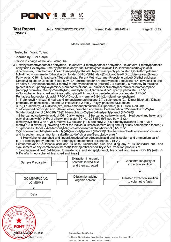 引出棒测试报告（英文，放英文版）_20.jpg