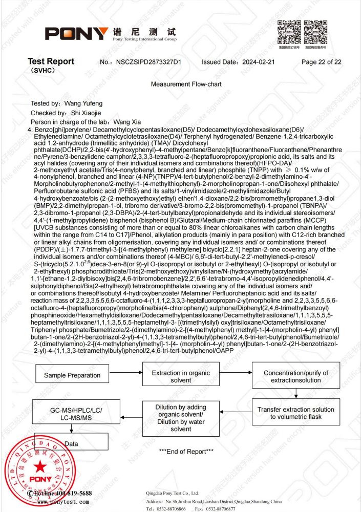 引出棒测试报告（英文，放英文版）_21.jpg